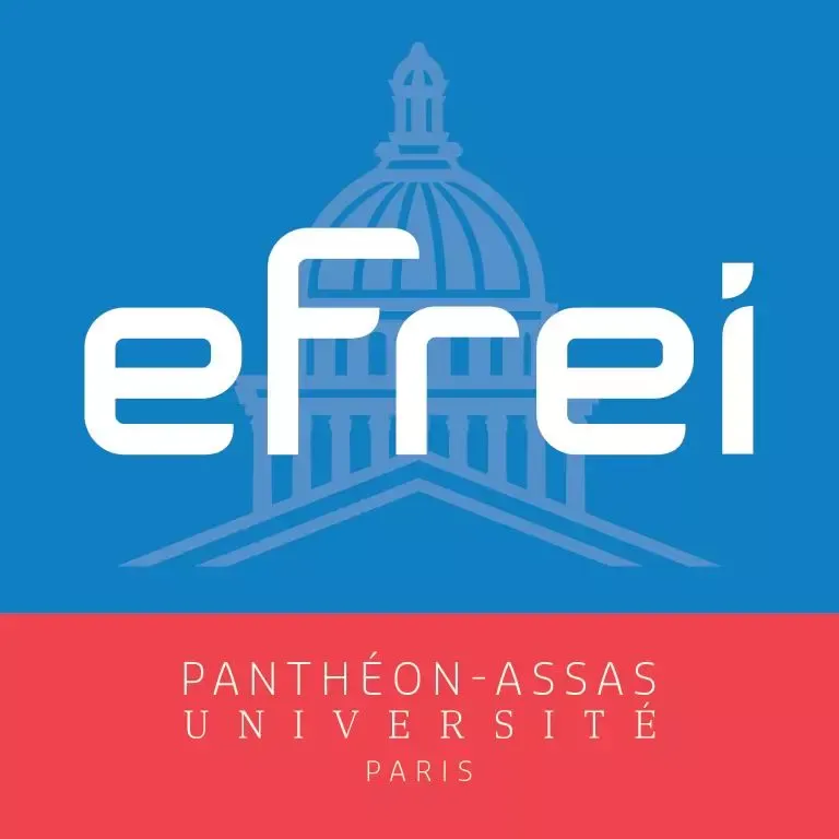 Efrei Team